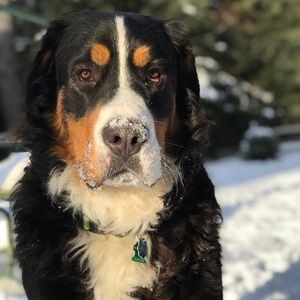 Meet your Posher, Kristen